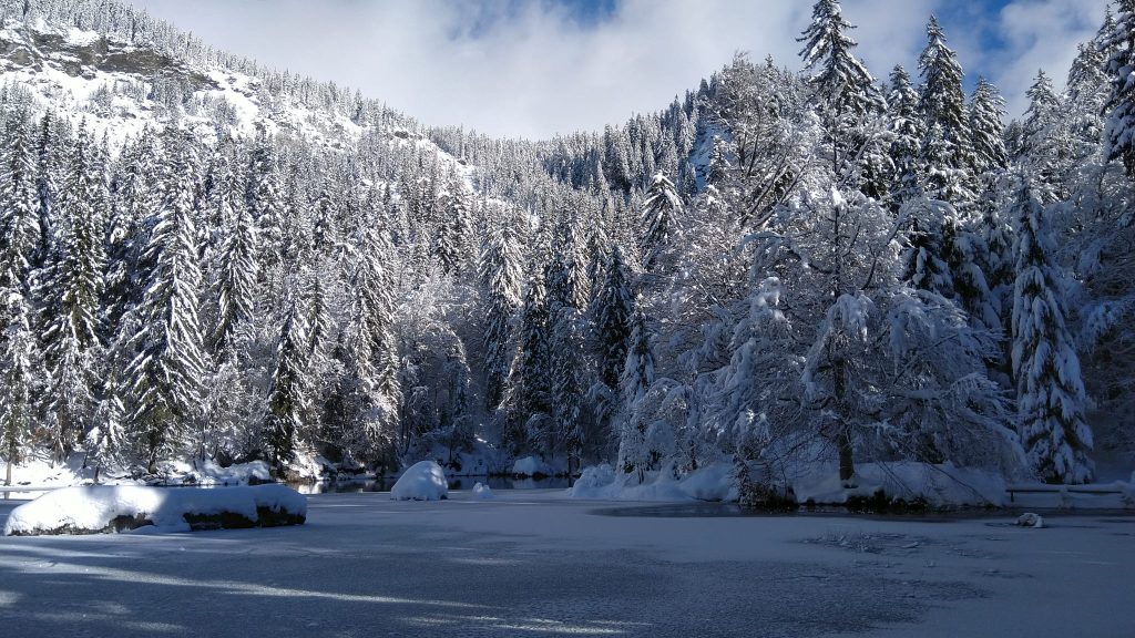 Lac vert sous la neige - Passy