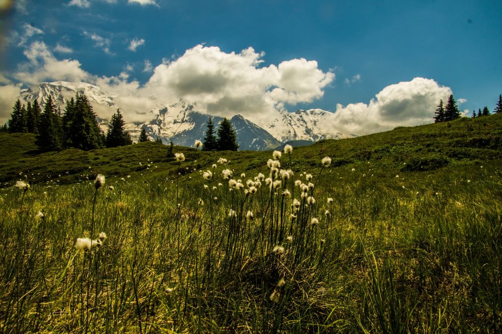 Les Houches, Haute-Savoie 74310