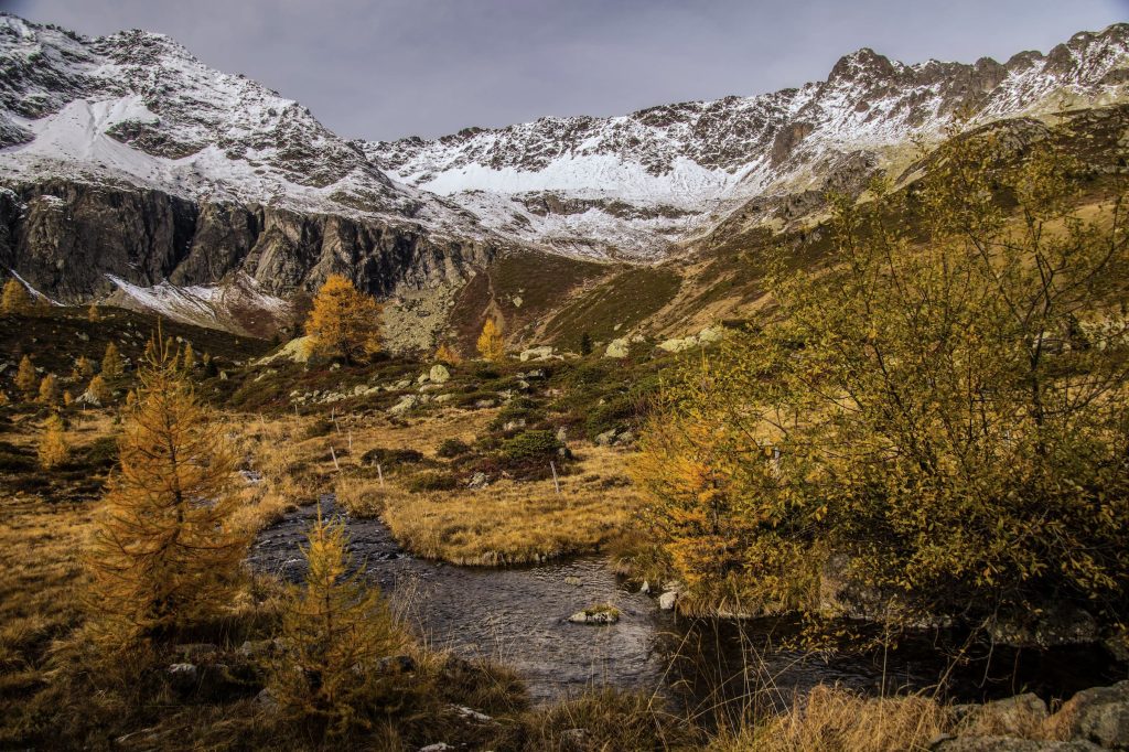 Loriaz - Vallorcine - Haute-Savoie